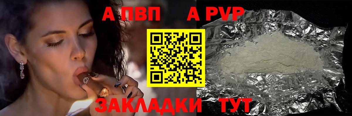 A-PVP СК Красноярск