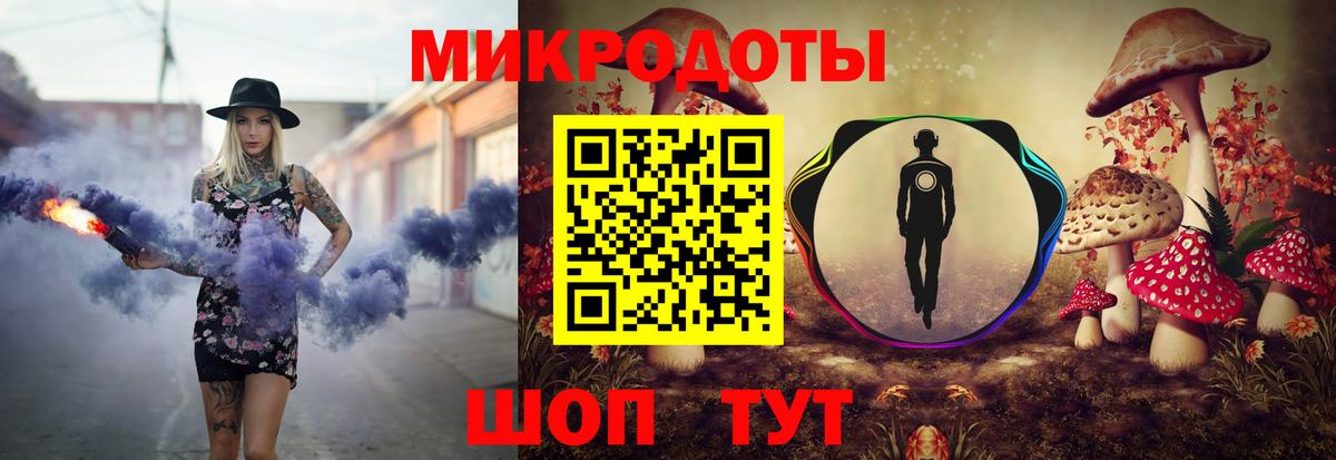 Галлюциногенные грибы Psilocybe Красноярск